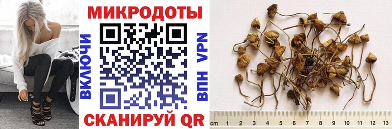 Галлюциногенные грибы Cubensis где можно купить наркотик Оленегорск